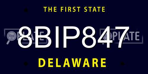 8BIP847 Delaware License Plate