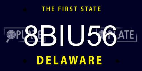 8BIU56 Delaware License Plate