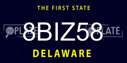 8BIZ58 Delaware License Plate
