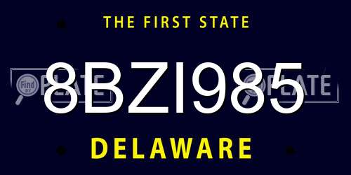 8BZI985 Delaware License Plate
