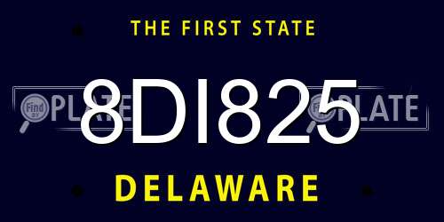 8DI825 Delaware License Plate