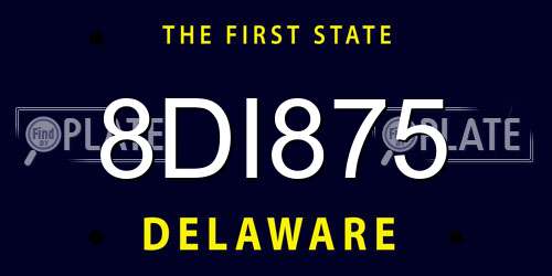 8DI875 Delaware License Plate