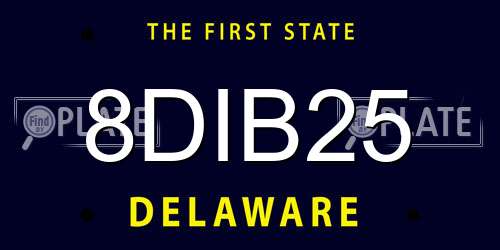 8DIB25 Delaware License Plate