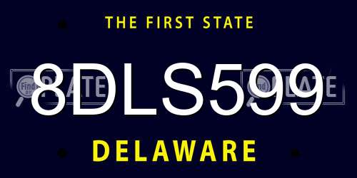 8DLS599 Delaware License Plate