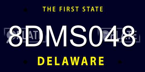 8DMS048 Delaware License Plate