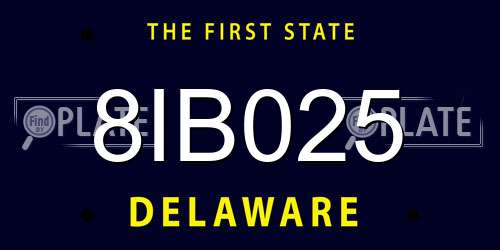 8IB025 Delaware License Plate