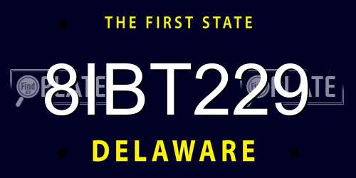 8IBT229 Delaware License Plate