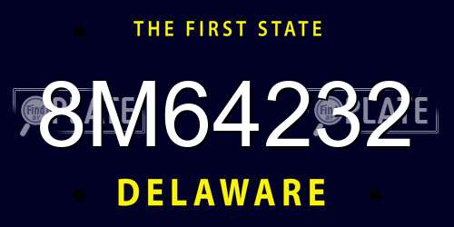 8M64232 Delaware License Plate