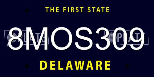 8MOS309 Delaware License Plate