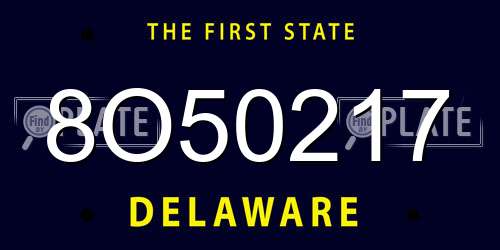 8O50217 Delaware License Plate