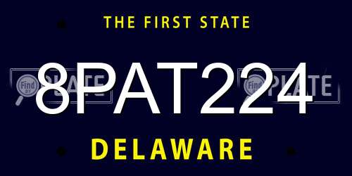 8PAT224 Delaware License Plate