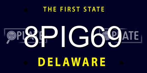 8PIG69 Delaware License Plate