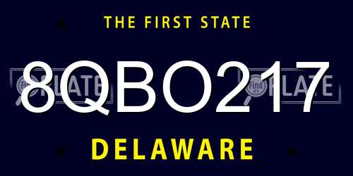 8QBO217 Delaware License Plate