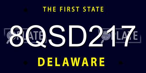 8QSD217 Delaware License Plate