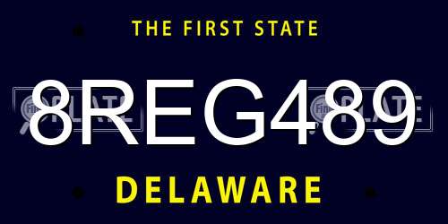 8REG489 Delaware License Plate