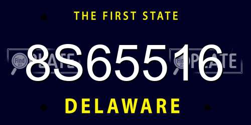 8S65516 Delaware License Plate