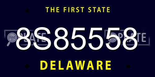 8S85558 Delaware License Plate