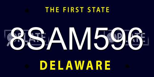 8SAM596 Delaware License Plate