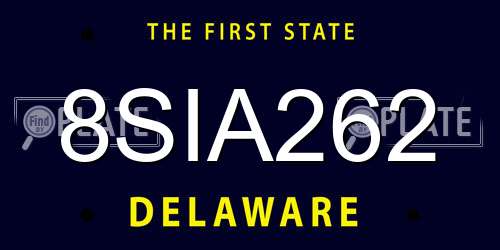 8SIA262 Delaware License Plate