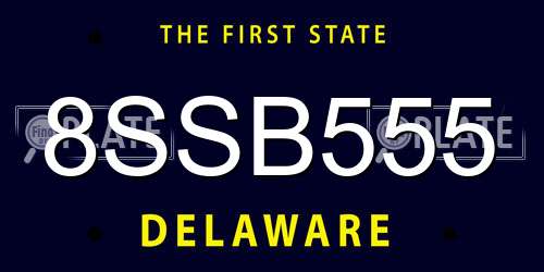8SSB555 Delaware License Plate