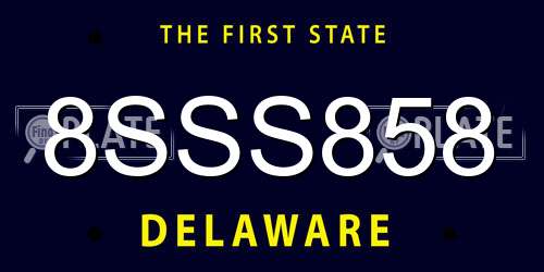 8SSS858 Delaware License Plate