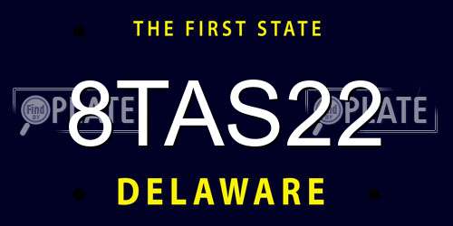8TAS22 Delaware License Plate