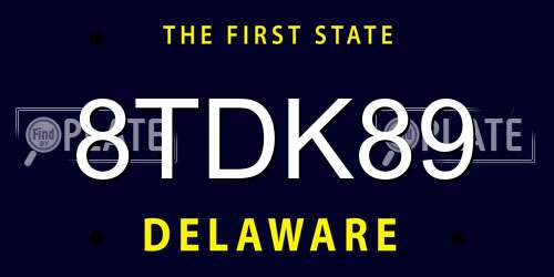 8TDK89 Delaware License Plate