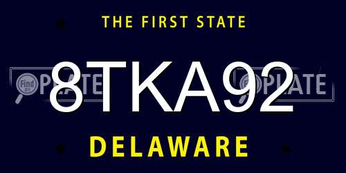 8TKA92 Delaware License Plate