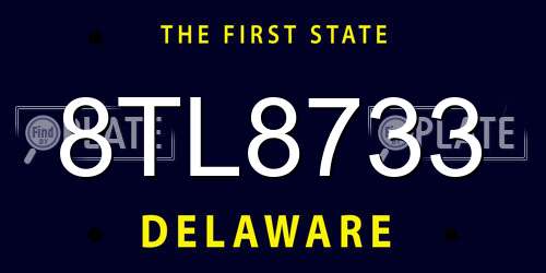 8TL8733 Delaware License Plate