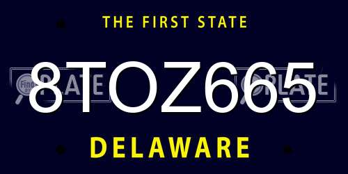 8TOZ665 Delaware License Plate