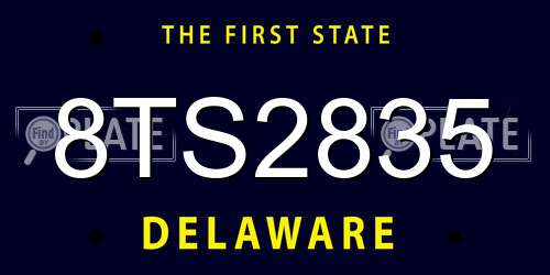 8TS2835 Delaware License Plate