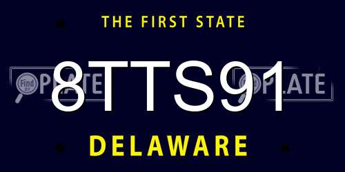 8TTS91 Delaware License Plate