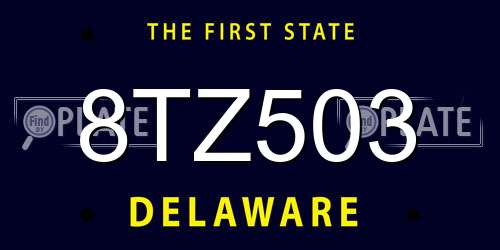 8TZ503 Delaware License Plate