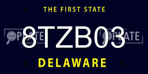 8TZB03 Delaware License Plate