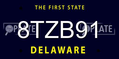 8TZB91 Delaware License Plate
