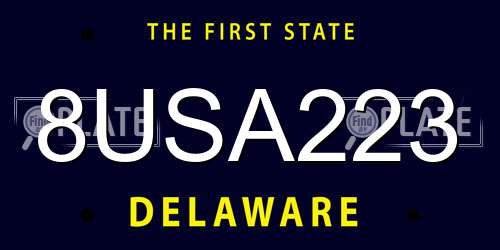 8USA223 Delaware License Plate