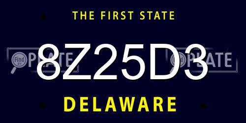 8Z25D3 Delaware License Plate