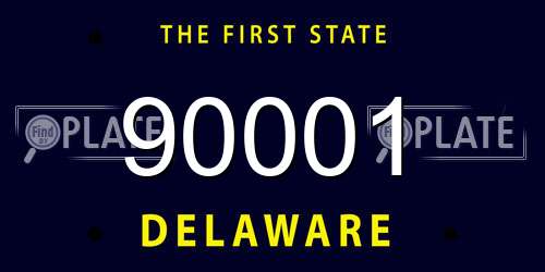 90001 Delaware License Plate