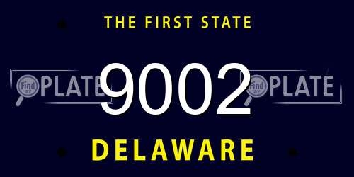 9002 Delaware License Plate