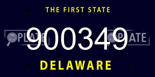 900349 Delaware License Plate