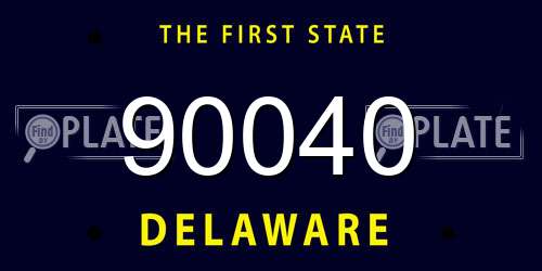 90040 Delaware License Plate