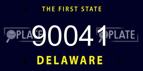 90041 Delaware License Plate