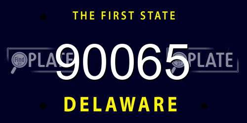 90065 Delaware License Plate