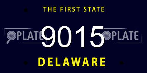 9015 Delaware License Plate