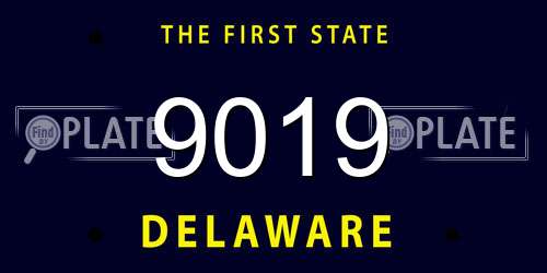 9019 Delaware License Plate