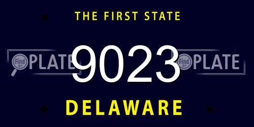 9023 Delaware License Plate