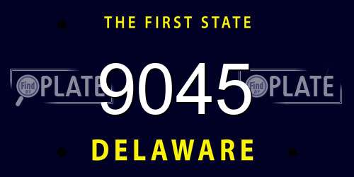 9045 Delaware License Plate