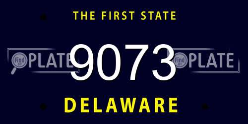 9073 Delaware License Plate
