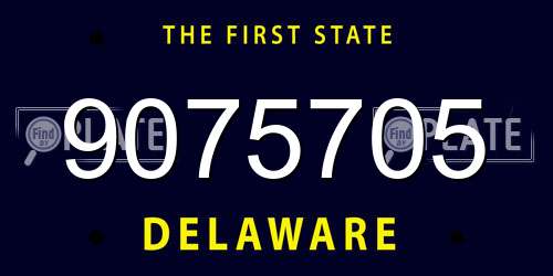 9075705 Delaware License Plate