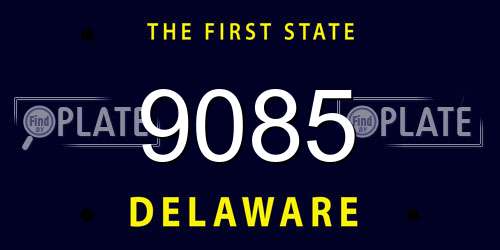 9085 Delaware License Plate